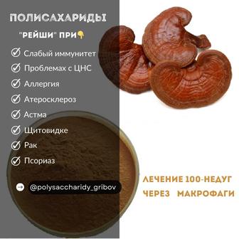 Продам грибы