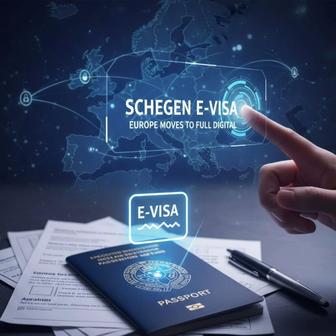 Визы под ключ