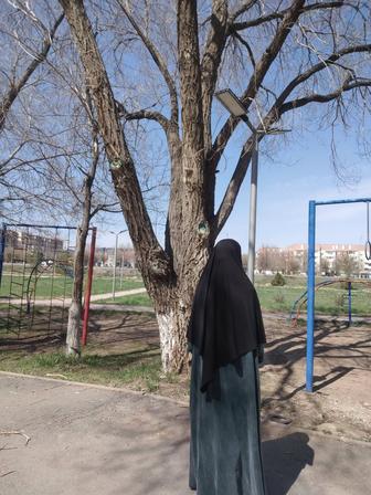 Химар черный