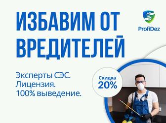 Уничтожение блох, муравьев, ос, комаров, дезинфекция