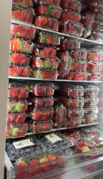 Продам свежую клубнику оптом