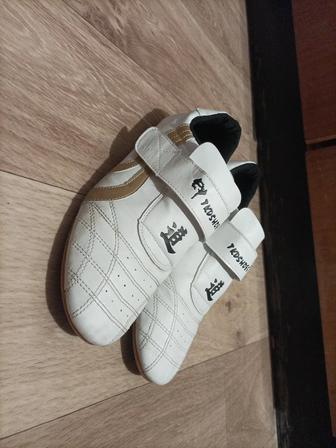 Соги тхэквондо