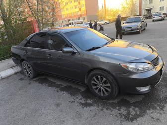 Авто с водителем