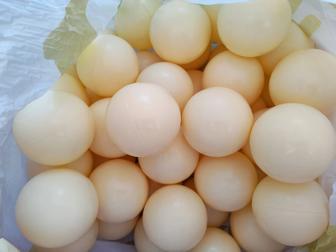 Шарики для сухого бассейна