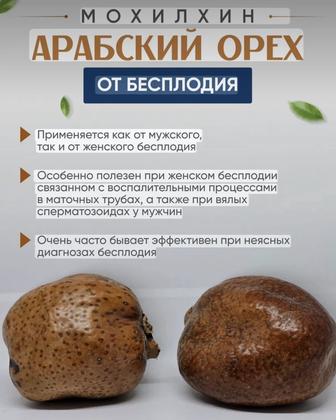 Мохилхин (орех от бесплодия)