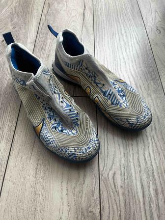 Сороконожки