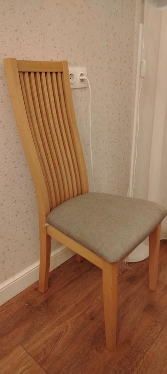 Продам стулья