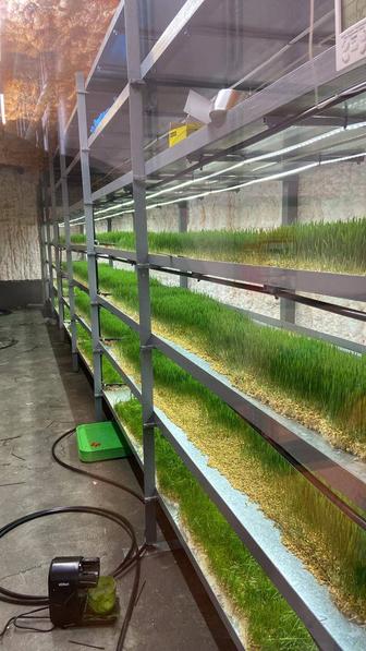 Гидропонный модульдля выращивания зелени