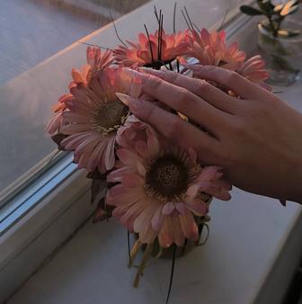 Модель на наращивание ногтей или обычного маникюра