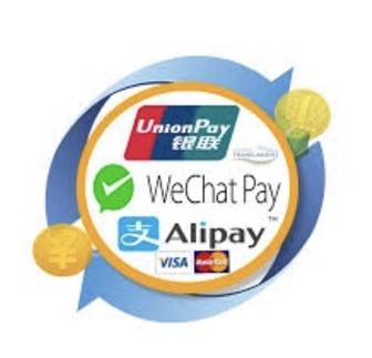 Курс Alipay Pro