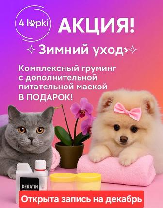 Груминг к Новому году