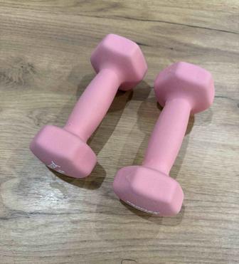 Гантели PROFLEX 2 кг (пара) отличное состояние