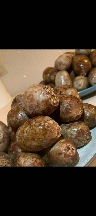 Әсіп Моншақ әсіп жасаймыз