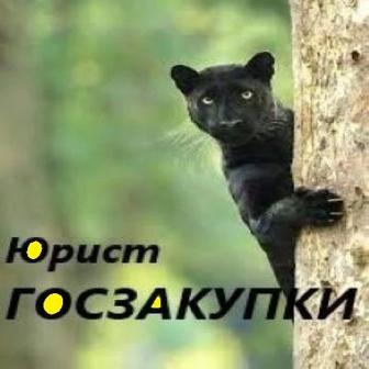 Юрист по Госзакупкам, Исключение из Реестра Недобросовестных участников