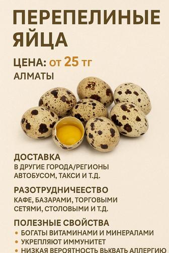 Домашние перепелиные яйца