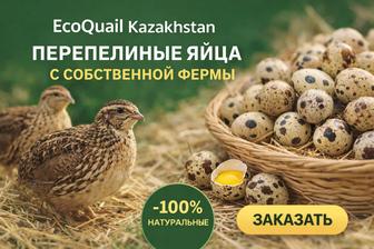 Домашние перепелиные яйца