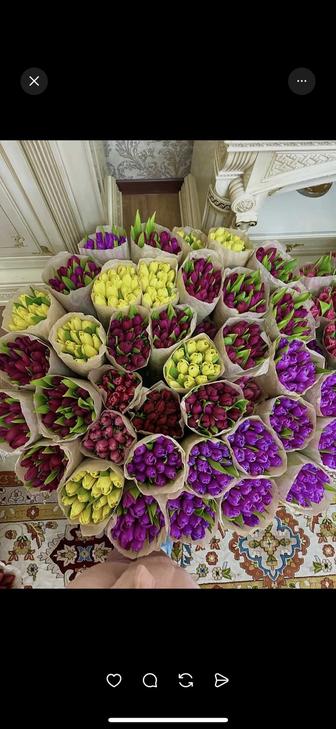 Тюльпаны букет