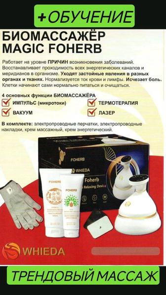 Биоэнергетический массажер БЭМ курсы