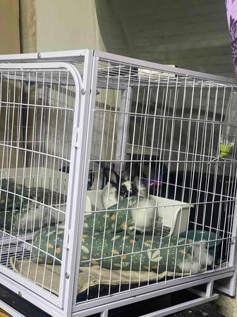 Продам клетку