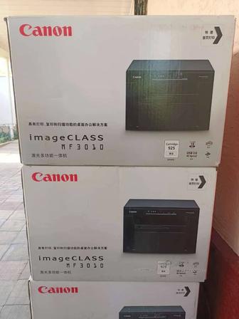 Canon 3010