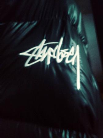 Зимний пуховик Stussy