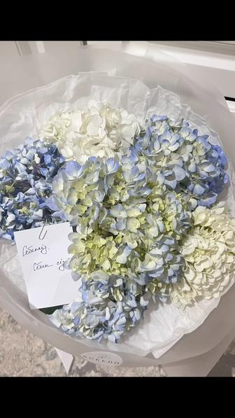 Гул гортенция