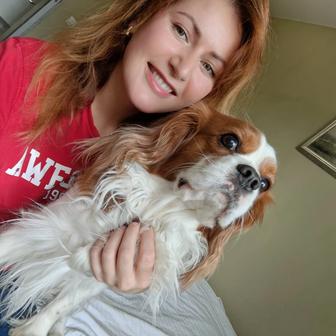 Передержка собак/кошек/зоопсихолог/выгул/зоотакси/дрессировка/зооняня