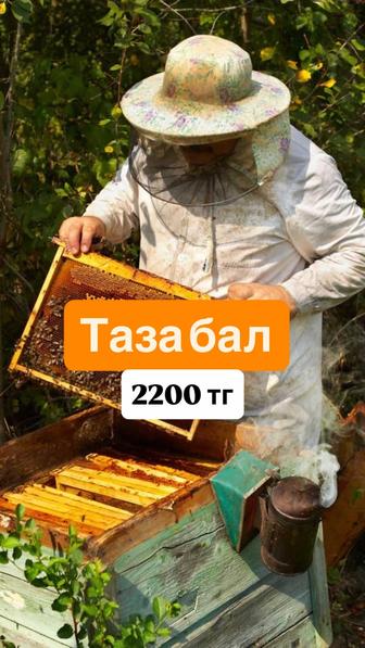 Чистый горный мед Таза бал