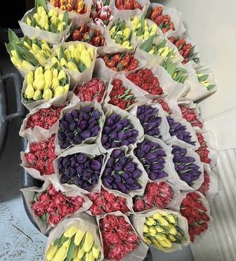 Тюльпаны оптом и в розницу 8 марта