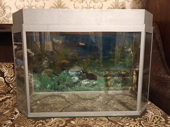 Продам аквариум.