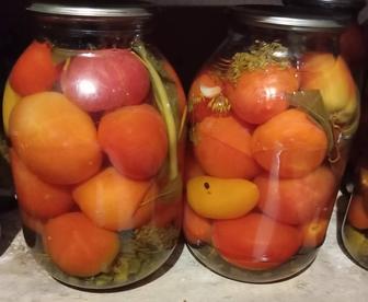 Помидоры домашние соленые