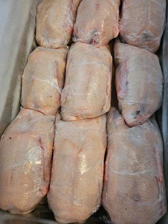 Продам гусиную тушку оптом