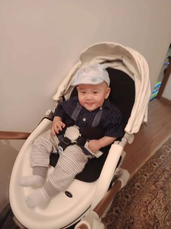 Коляска Hot mom