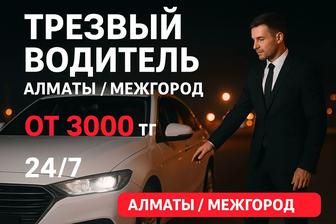 Трезвый водитель