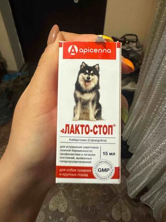 Лакто-стоп для средних и крупных пород