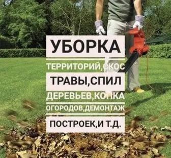 Услуги населению
