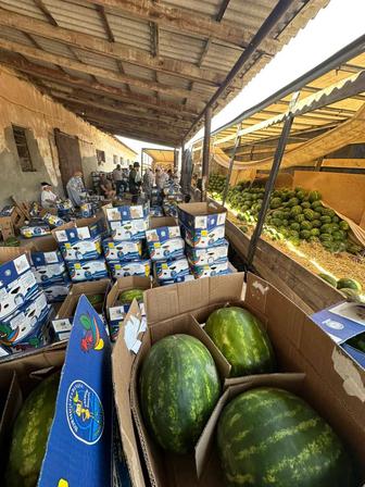 Арбузы / watermelon sale