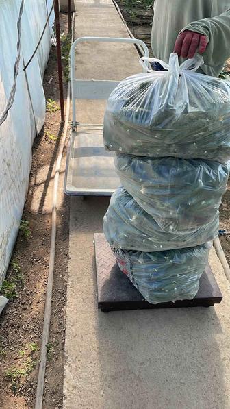 Весы 400 кг вайфай