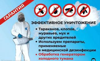 Уничтожение постельные клопы дезинфекция дезинсекция дератизация