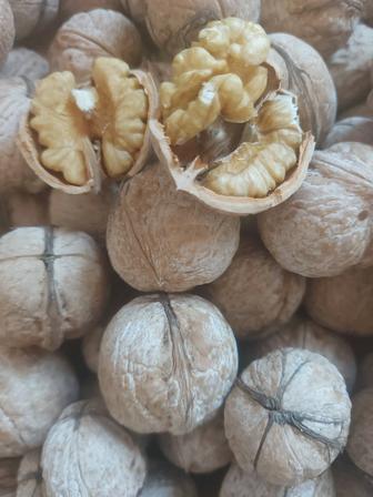 Орехи грецкие