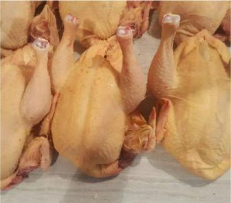 Мясо курей бройлеров