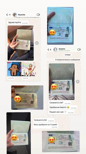 Услуги визовое сопровождение