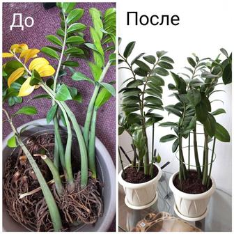 Услуги флориста