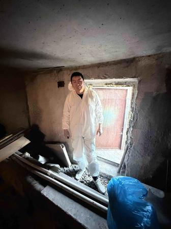 Дезинфекция от клопов тараканов и тд