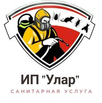 Дезинфекция