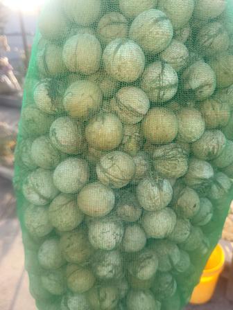 Продам орехи грецкие