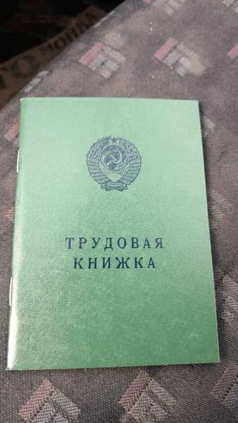 Трудовая- книжка.