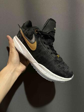 Баскетбольные кроссовки Nike Lebron XX