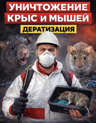 Уничтожение Крыс и Мышей Дератизация с Гарантией