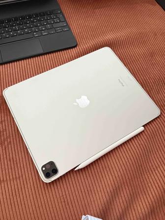 iPad Pro 2022 12.9 дюйм 1 Тб серебристый